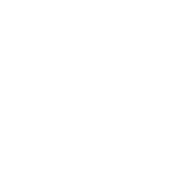 313 Apparels