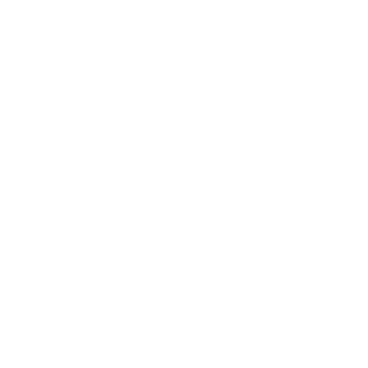 313 Apparels
